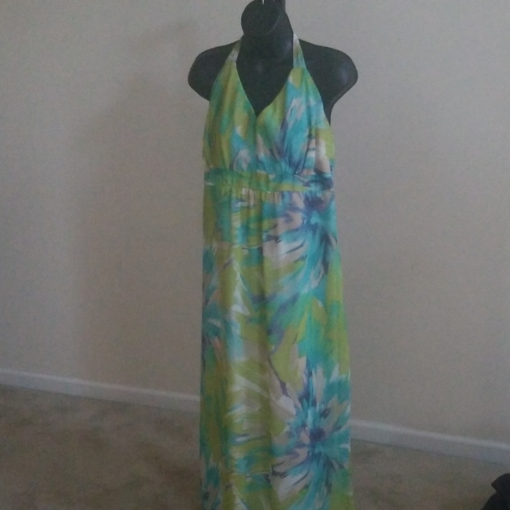 A  Preowned Beautiful Long Sundress